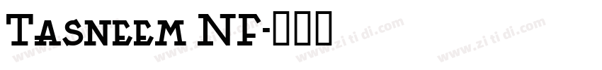 Tasneem NF字体转换